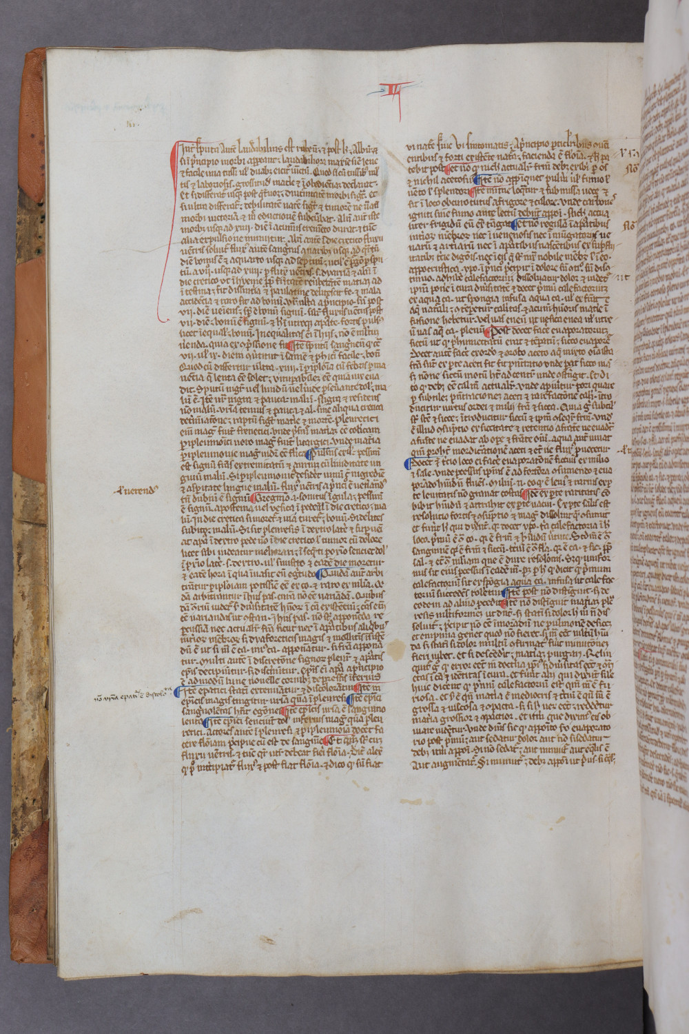 Folio 89 verso